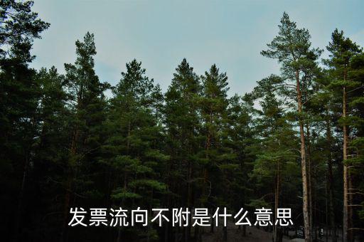 什么是流向票，發(fā)票流向不附是什么意思