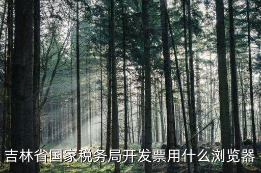 吉林省國(guó)家稅務(wù)局開(kāi)發(fā)票用什么瀏覽器