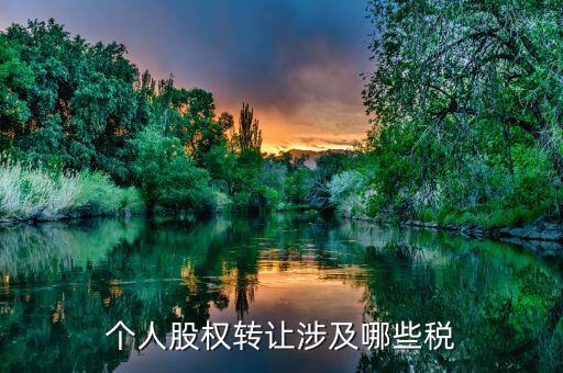 個人股權(quán)轉(zhuǎn)讓都涉及什么稅，法人股東股權(quán)轉(zhuǎn)讓分別涉及哪些稅種
