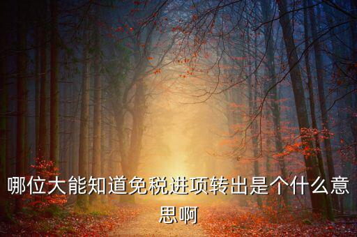 免稅為什么要進(jìn)項(xiàng)稅額轉(zhuǎn)出，免稅貨物用進(jìn)項(xiàng)稅轉(zhuǎn)出是什么意思啊