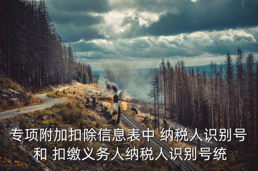 專(zhuān)項(xiàng)附加扣除信息表中 納稅人識(shí)別號(hào) 和 扣繳義務(wù)人納稅人識(shí)別號(hào)統(tǒng)