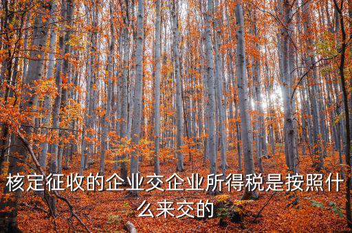 核定稅稅率是按照什么作參照的，稅率按照哪個(gè)來(lái)定