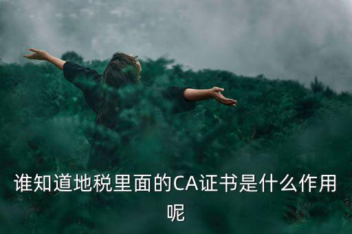 稅務(wù)企業(yè)ca登錄是什么意思，網(wǎng)上報(bào)稅CA驗(yàn)證系統(tǒng)是甚么