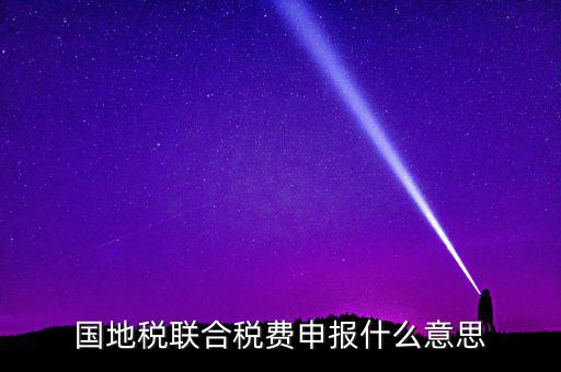 國(guó)稅地稅聯(lián)合有什么用，國(guó)地稅聯(lián)合稅費(fèi)申報(bào)什么意思