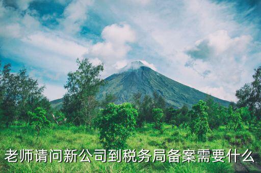 稅務(wù)報備需要什么材料，稅務(wù)備案需要哪些資料