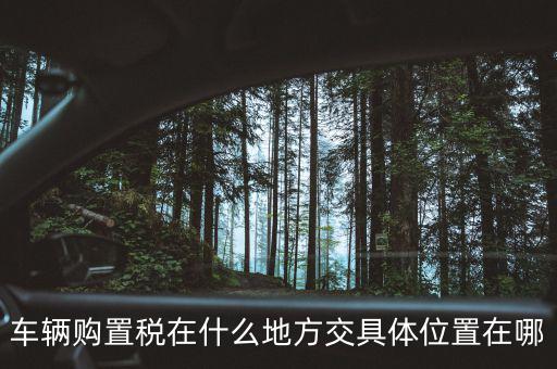 榆次汽車購置稅在什么地方交，車輛購置稅在什么地方交具體位置在哪