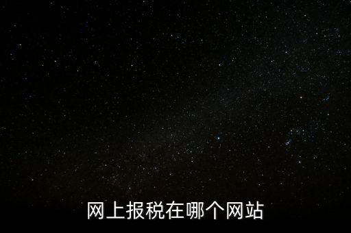 廣西網(wǎng)上辦稅的網(wǎng)址是什么意思，網(wǎng)上報稅在哪個網(wǎng)站