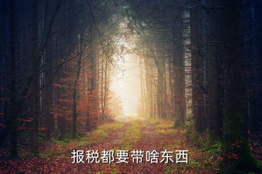 大連國稅局報稅帶什么東西，報稅都要帶啥東西