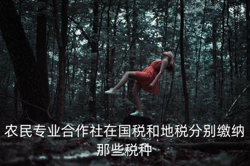 農民專業(yè)合作社在國稅和地稅分別繳納那些稅種