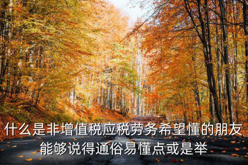 什么是非增值稅應(yīng)稅勞務(wù)希望懂的朋友能夠說得通俗易懂點或是舉