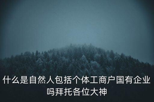 什么是稅務(wù)中的自然人，會(huì)計(jì)中自然人所指的是那種人