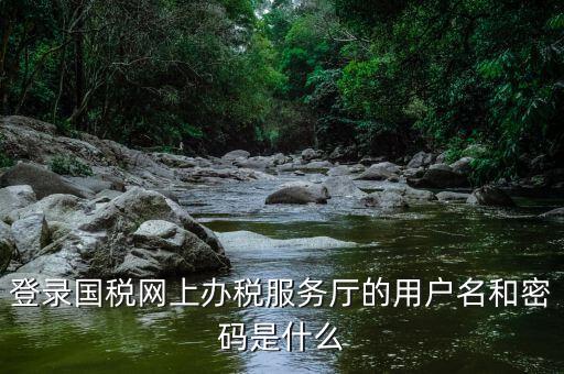 登錄國(guó)稅網(wǎng)上辦稅服務(wù)廳的用戶名和密碼是什么