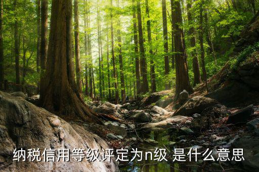 國稅信用級別是什么，納稅信用等級評定為n級 是什么意思