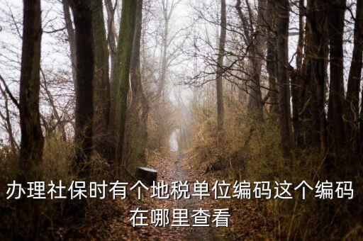 稅務(wù)局編號在什么位置，安康稅務(wù)機(jī)關(guān)地區(qū)編號在哪里