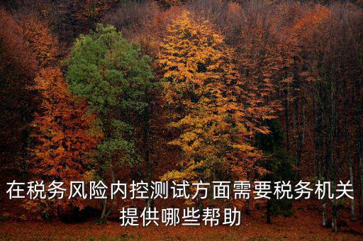在稅務(wù)風(fēng)險內(nèi)控測試方面需要稅務(wù)機關(guān)提供哪些幫助
