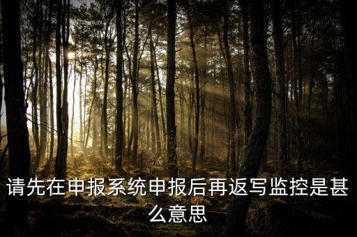 請(qǐng)先在申報(bào)系統(tǒng)申報(bào)后再返寫監(jiān)控是甚么意思