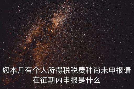 您本月有個人所得稅稅費(fèi)種尚未申報(bào)請?jiān)谡髌趦?nèi)申報(bào)是什么