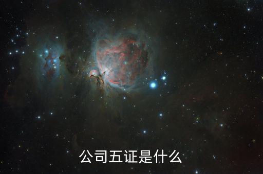 一般納稅人五證是什么意思，一般情況下公司的五證指得都是什么證
