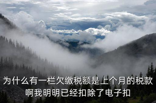 為什么有一欄欠繳稅額是上個月的稅款啊我明明已經扣除了電子扣