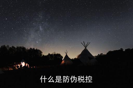防偽稅控盤什么，什么是防偽稅控