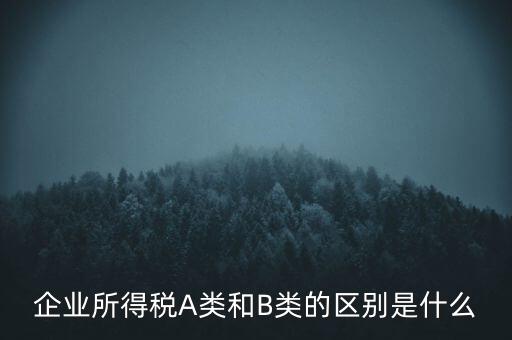企業(yè)所得稅b類是什么意思，企業(yè)所得稅A類和B類的區(qū)別是什么