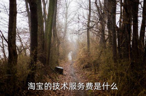 技術(shù)咨詢服務(wù)費(fèi)指什么，醫(yī)藥行業(yè)技術(shù)服務(wù)費(fèi)包含什么內(nèi)容