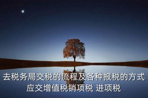 去稅務局交稅的流程及各種報稅的方式應交增值稅銷項稅 進項稅