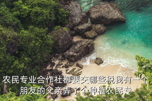 農民專業(yè)合作社都要交哪些稅我有一個朋友的父親弄了個種植農民專