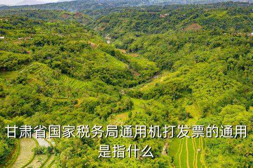 山西省稅務(wù)局六最是指什么，甘肅省國(guó)家稅務(wù)局通用機(jī)打發(fā)票的通用是指什么