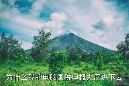陜西國(guó)家稅務(wù)局為什么上不去，為什么我的電腦國(guó)稅申報(bào)大廳進(jìn)不去