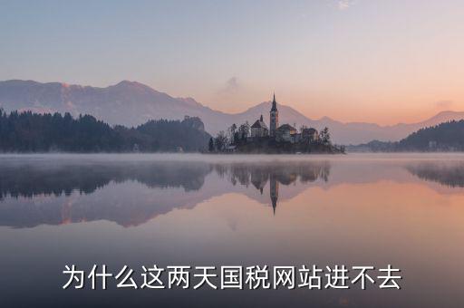 為什么濟(jì)南國稅網(wǎng)站進(jìn)不去，為什么這兩天國稅網(wǎng)站進(jìn)不去