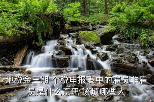 個(gè)稅申報(bào)人員是什么，地稅金三期 個(gè)稅申報(bào)表中的雇員非雇員是什么意思 該填哪些人