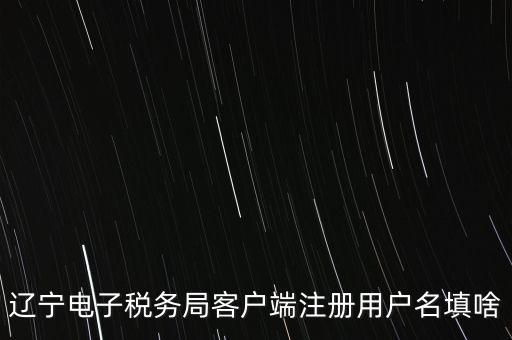 遼寧電子稅務(wù)局客戶端注冊(cè)用戶名填啥