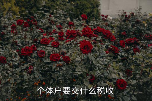 新開個(gè)體戶要交什么稅，我想開個(gè)小店當(dāng)個(gè)體戶請問要交什么稅