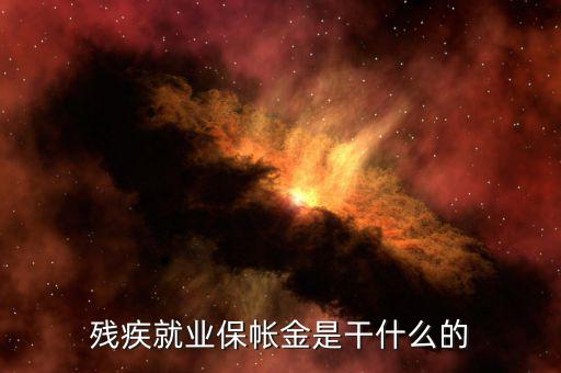 殘疾人保障金有什么用，殘疾就業(yè)保帳金是干什么的