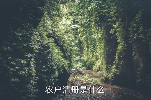 辦稅事項(xiàng)清冊(cè)是什么，會(huì)計(jì)檔案移交清冊(cè)什么意思