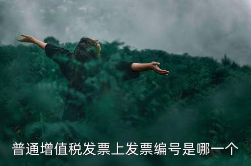 增值稅編號是什么，普通增值稅發(fā)票上發(fā)票編號是哪一個