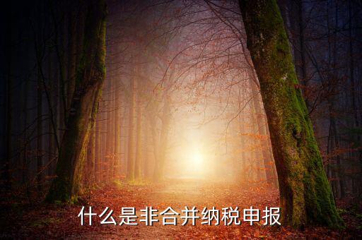 什么是非匯總納稅企業(yè)，什么是跨區(qū)經(jīng)營匯總納稅企業(yè)