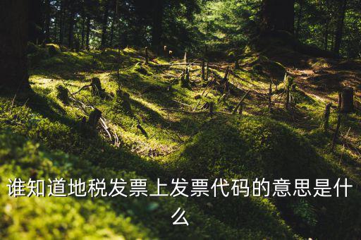 河北地稅發(fā)票的查詢碼是什么意思，如何查詢地稅發(fā)票開票點注冊碼是什么