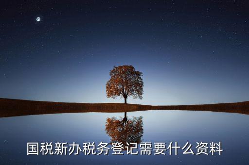 辦理國稅都需要帶什么，國稅登記需要帶什么資料