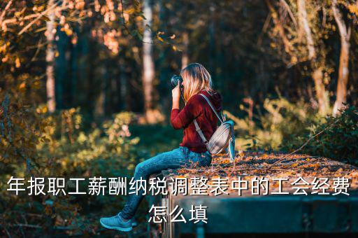工會經(jīng)費減除項填什么，網(wǎng)上報稅時又多了一項工會經(jīng)費怎樣填寫計算