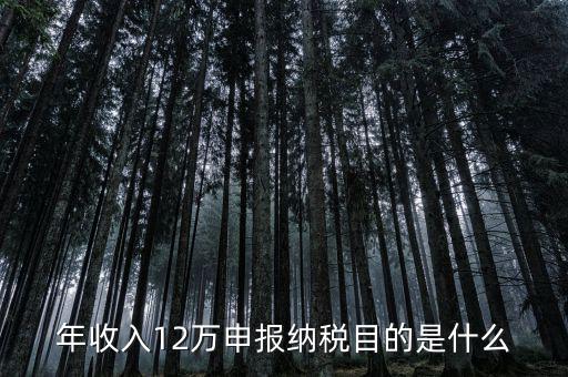 為什么12萬要報(bào)稅，年收入12萬個(gè)稅申報(bào)為什么要申報(bào)