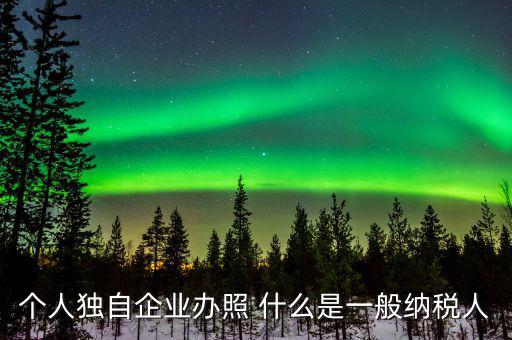 個(gè)人獨(dú)自企業(yè)辦照 什么是一般納稅人