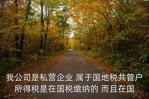 國(guó)地共管需要叫什么稅，國(guó)稅地稅共管公司都需要每個(gè)月報(bào)稅嗎意思就是說(shuō)我每個(gè)月地稅