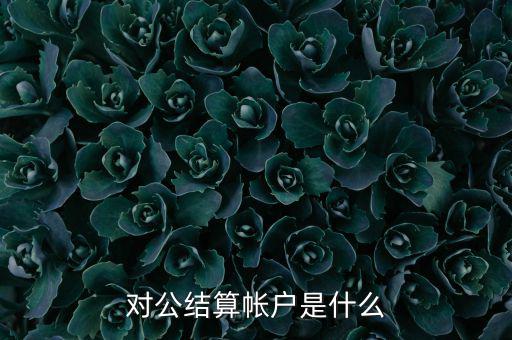 什么是稅務(wù)待結(jié)算賬戶，結(jié)算賬戶有哪些