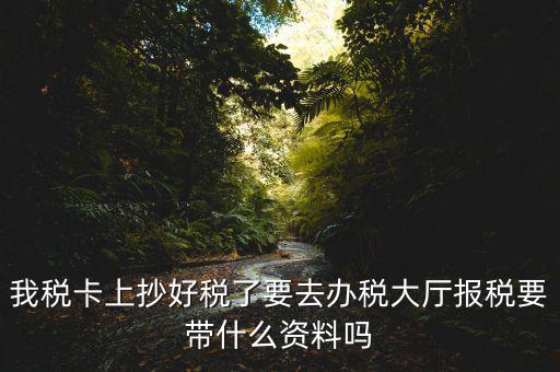 報稅廳抄報需要帶什么資料，抄稅需要帶些什么資料