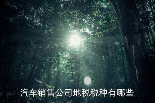 銷售汽車?yán)U納什么稅，一般納稅人公司銷售使用過的汽車要交哪些稅