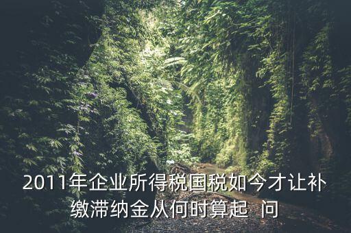 納稅滯納金什么時候算，企業(yè)所得稅滯納金計算從何時開始計算