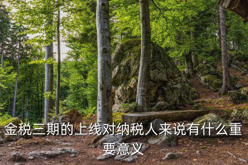 金三稅系統(tǒng)什么時間上線的，2016年金稅三期上線那金稅三期到底是啥呢