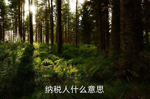 納稅資格什么意思，具有納稅人資格是什么意思
